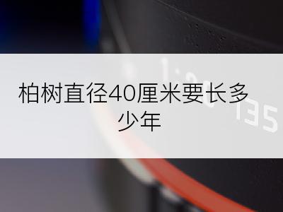 柏树直径40厘米要长多少年