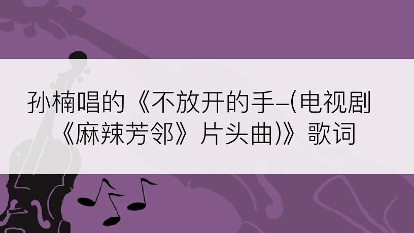 孙楠唱的《不放开的手-(电视剧《麻辣芳邻》片头曲)》歌词