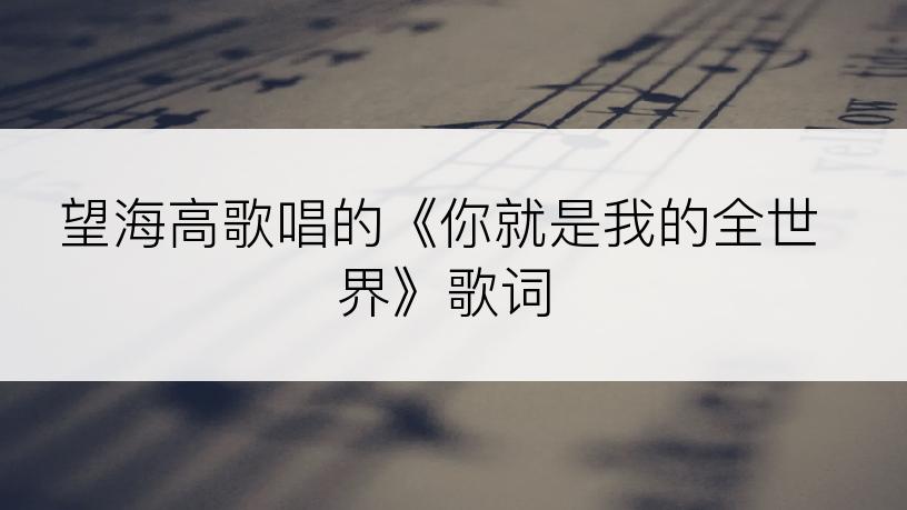 望海高歌唱的《你就是我的全世界》歌词