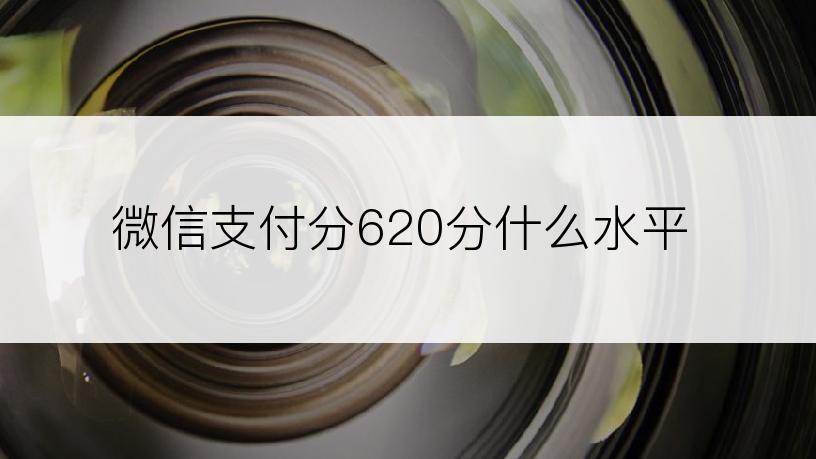 微信支付分620分什么水平