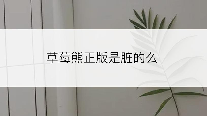 草莓熊正版是脏的么