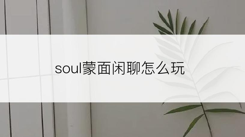 soul蒙面闲聊怎么玩