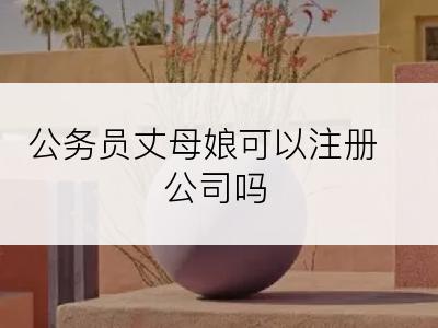 公务员丈母娘可以注册公司吗