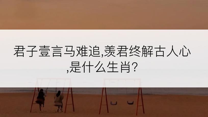 君子壹言马难追,羡君终解古人心,是什么生肖?