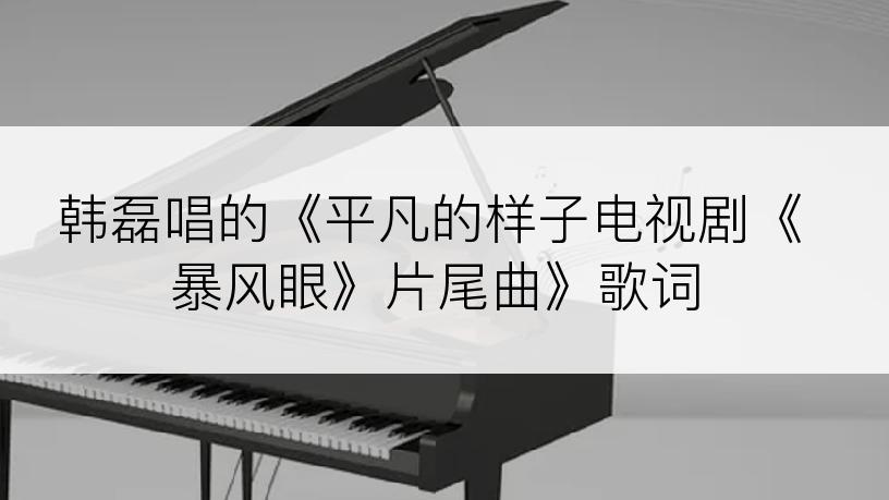 韩磊唱的《平凡的样子电视剧《暴风眼》片尾曲》歌词