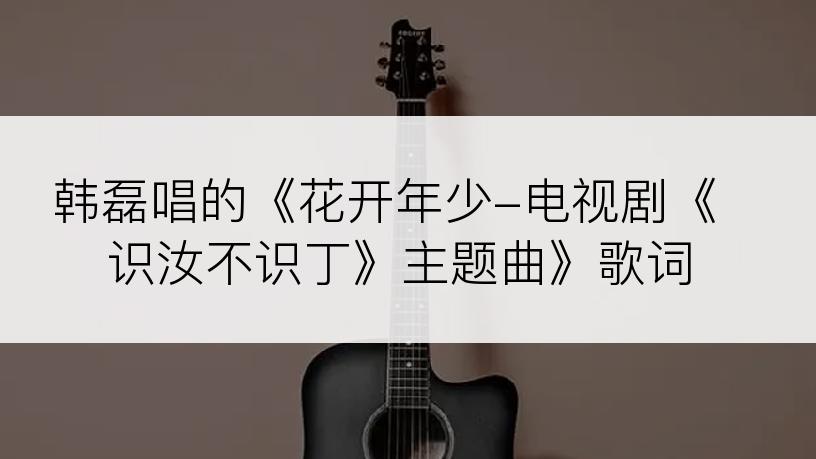 韩磊唱的《花开年少-电视剧《识汝不识丁》主题曲》歌词