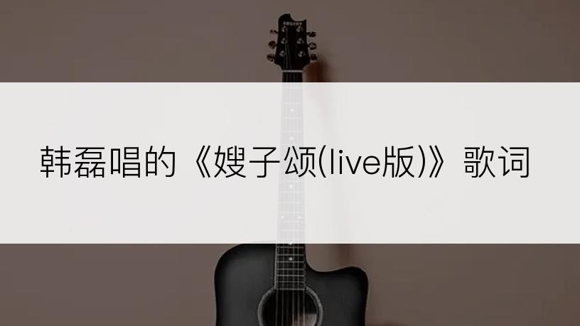 韩磊唱的《嫂子颂(live版)》歌词