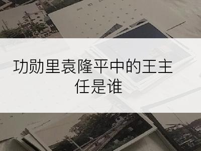 功勋里袁隆平中的王主任是谁