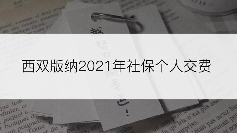 西双版纳2021年社保个人交费