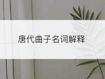 唐代曲子名词解释