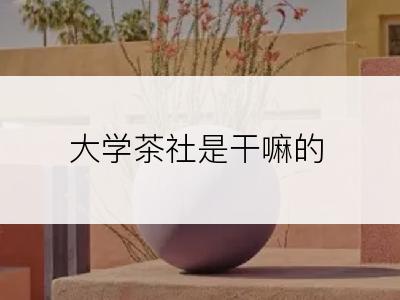 大学茶社是干嘛的