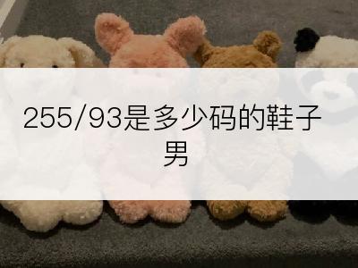 255/93是多少码的鞋子男