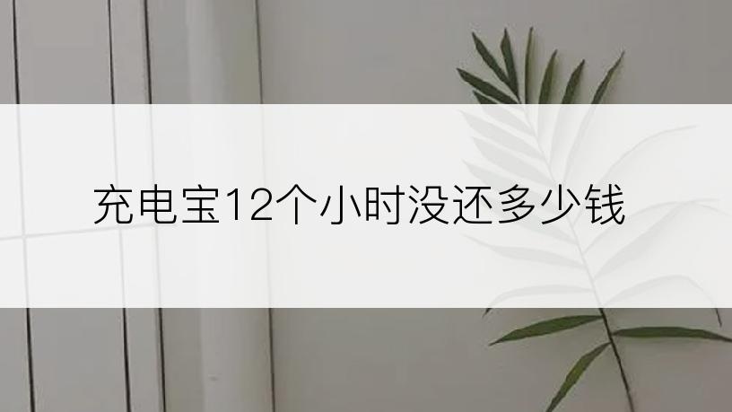 充电宝12个小时没还多少钱