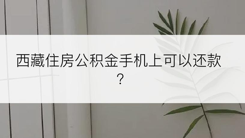 西藏住房公积金手机上可以还款?