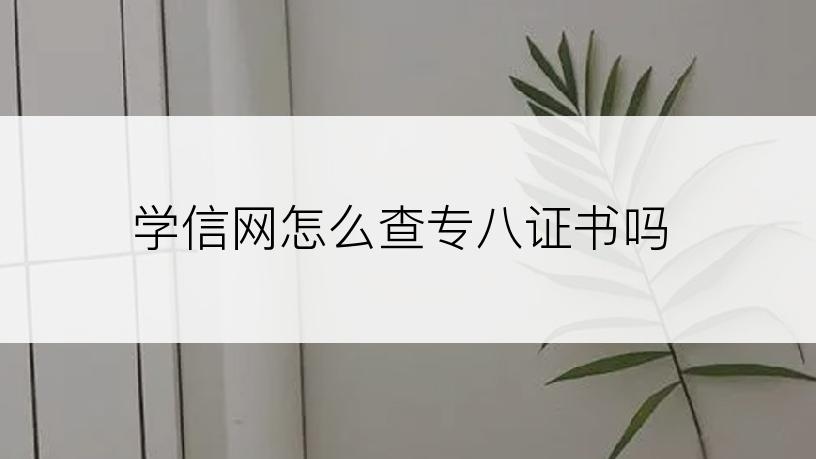 学信网怎么查专八证书吗