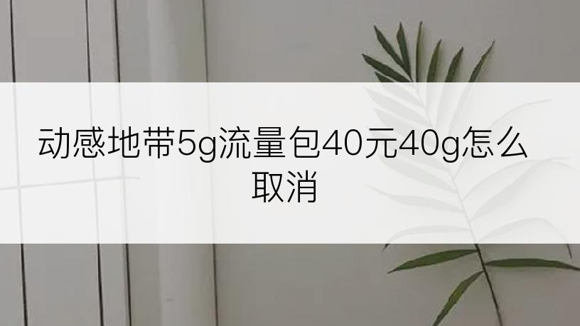 动感地带5g流量包40元40g怎么取消