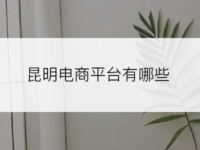 昆明电商平台有哪些