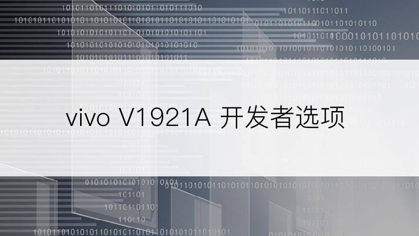 vivo V1921A 开发者选项