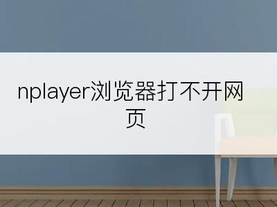 nplayer浏览器打不开网页