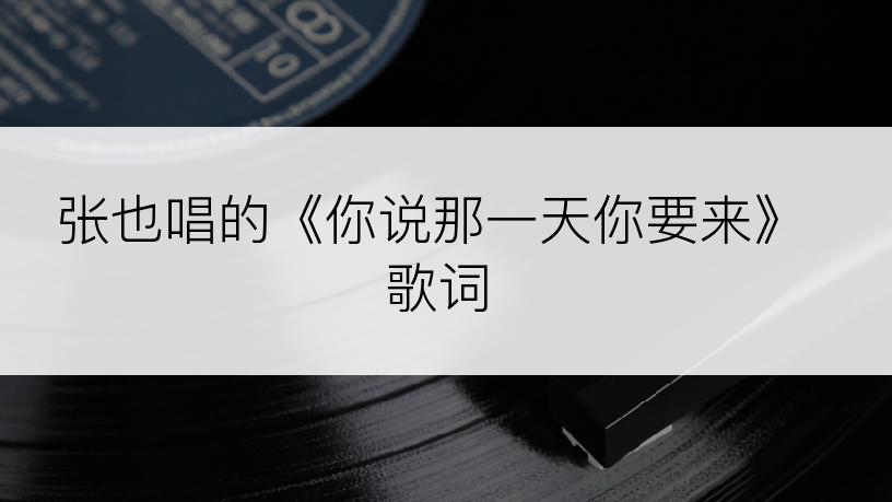 张也唱的《你说那一天你要来》歌词