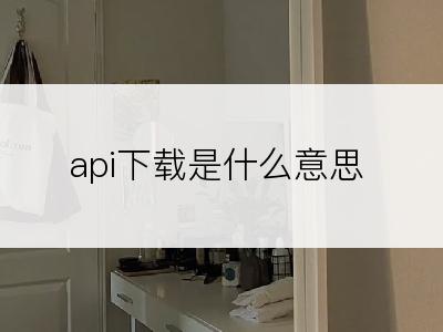 api下载是什么意思