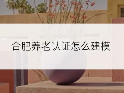 合肥养老认证怎么建模