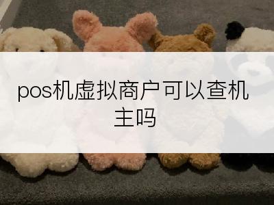 pos机虚拟商户可以查机主吗