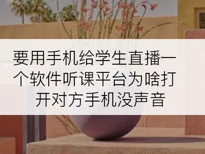 要用手机给学生直播一个软件听课平台为啥打开对方手机没声音