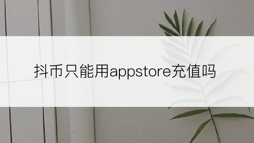 抖币只能用appstore充值吗