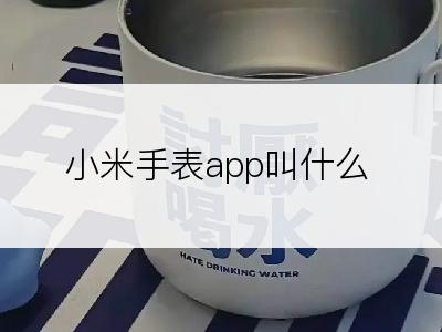 小米手表app叫什么