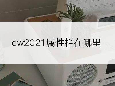 dw2021属性栏在哪里