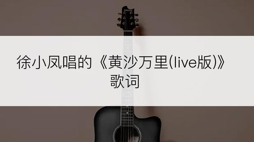 徐小凤唱的《黄沙万里(live版)》歌词