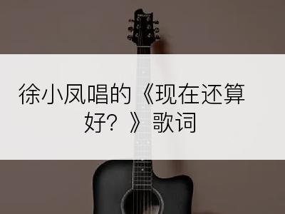 徐小凤唱的《现在还算好？》歌词