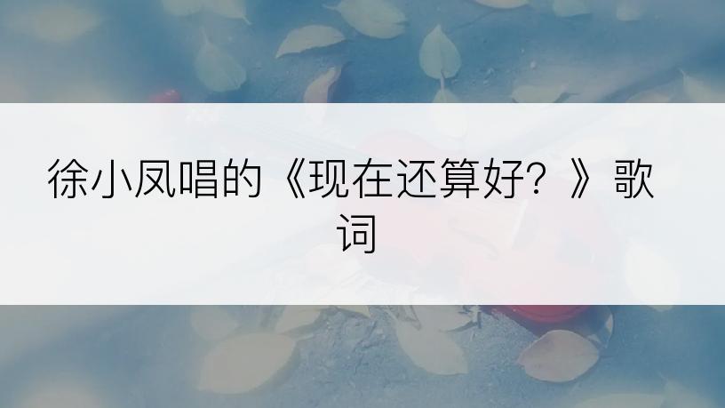 徐小凤唱的《现在还算好？》歌词