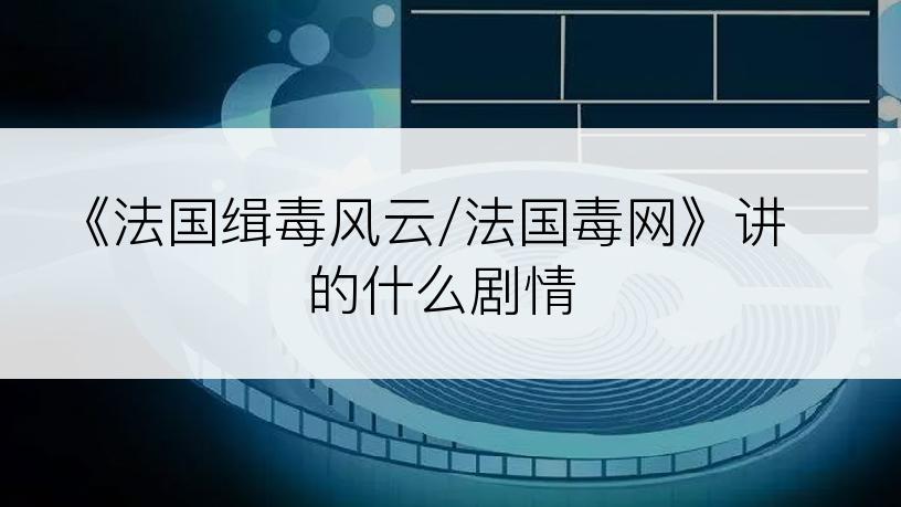 《法国缉毒风云/法国毒网》讲的什么剧情