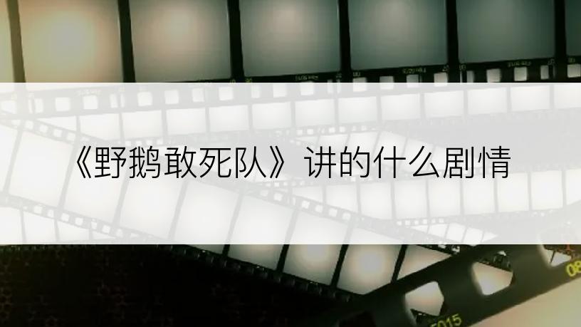 《野鹅敢死队》讲的什么剧情