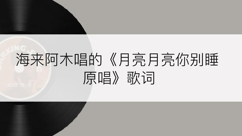 海来阿木唱的《月亮月亮你别睡原唱》歌词