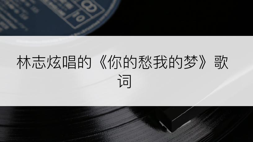 林志炫唱的《你的愁我的梦》歌词