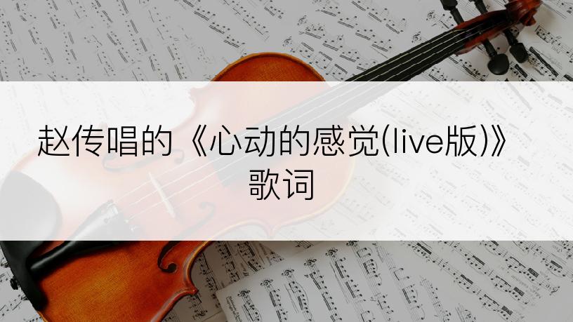 赵传唱的《心动的感觉(live版)》歌词