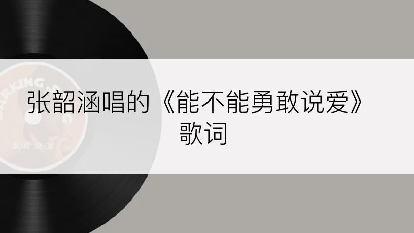 张韶涵唱的《能不能勇敢说爱》歌词