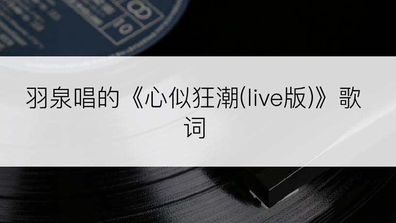 羽泉唱的《心似狂潮(live版)》歌词