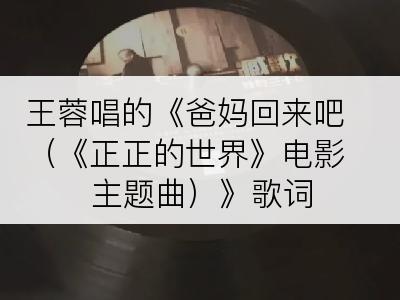 王蓉唱的《爸妈回来吧（《正正的世界》电影 主题曲）》歌词