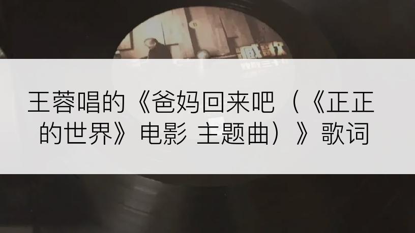 王蓉唱的《爸妈回来吧（《正正的世界》电影 主题曲）》歌词