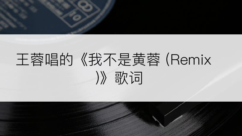 王蓉唱的《我不是黄蓉 (Remix)》歌词