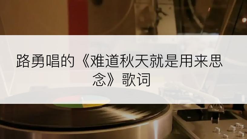 路勇唱的《难道秋天就是用来思念》歌词