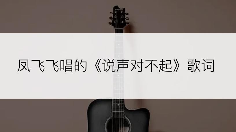 凤飞飞唱的《说声对不起》歌词