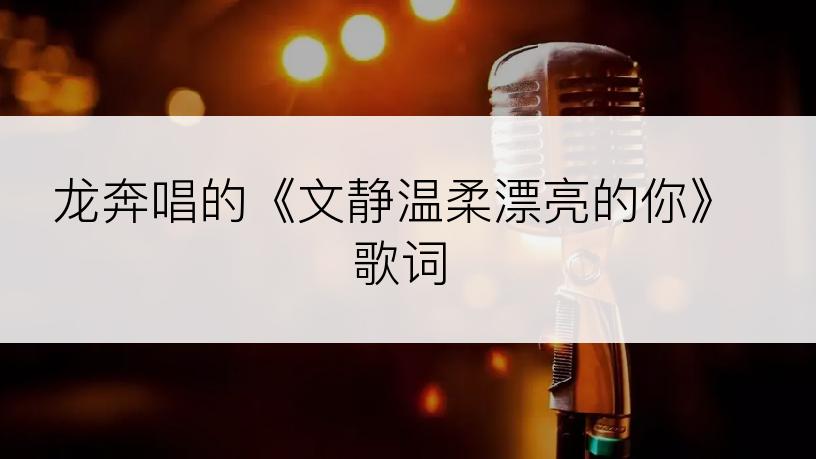 龙奔唱的《文静温柔漂亮的你》歌词