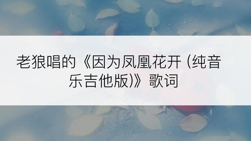 老狼唱的《因为凤凰花开 (纯音乐吉他版)》歌词