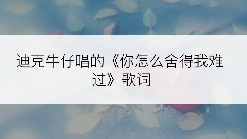 迪克牛仔唱的《你怎么舍得我难过》歌词