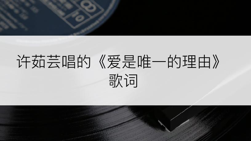 许茹芸唱的《爱是唯一的理由》歌词